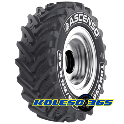 Ascenso TDR 650 (с/г) 480/65 R24 140D