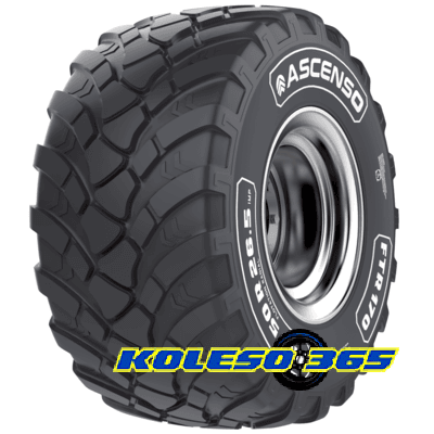 Ascenso FTR 170 (с/г) 560/60 R22.5 165D