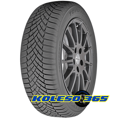 Toyo Observe EWS1 205/55 R16 91H