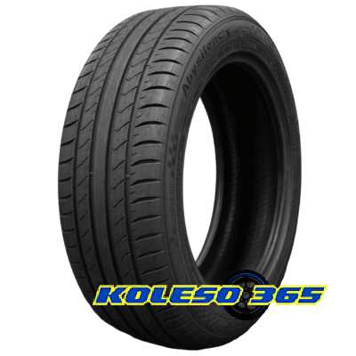 Double Coin Abysilency 225/55 R17 101W XL