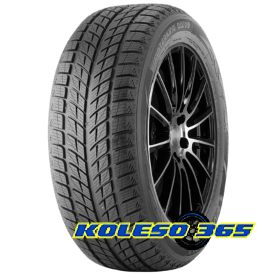 Doublestar WINTERKING DW09 215/45 R17 91H XL