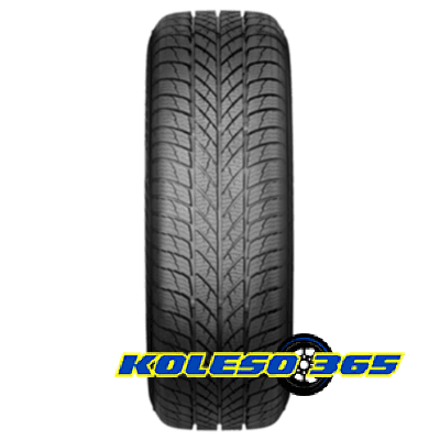 Paxaro INVERNO 195/55 R16 87H